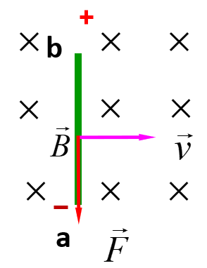 image-20240105112042215