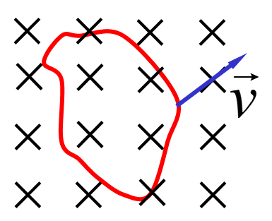 image-20240105114453436