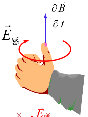 image-20240105131237013