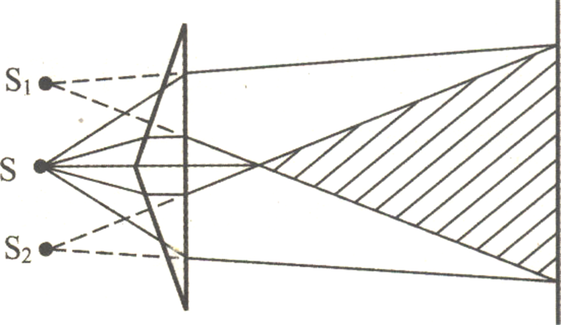 image-20240107094650319