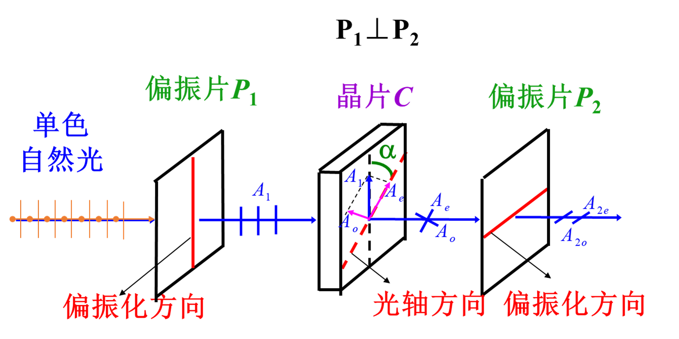 image-20240107160244257