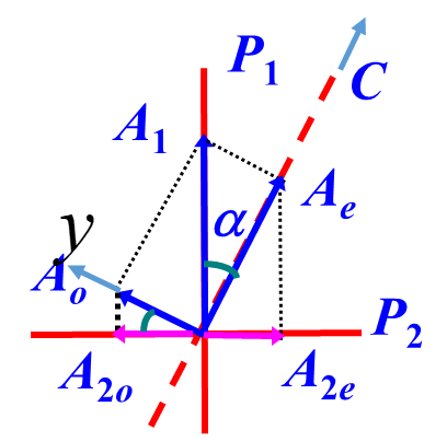 image-20240107160402448