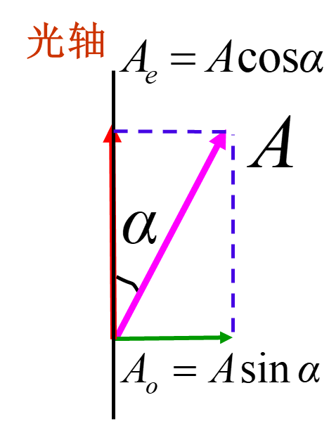 image-20240108003739154