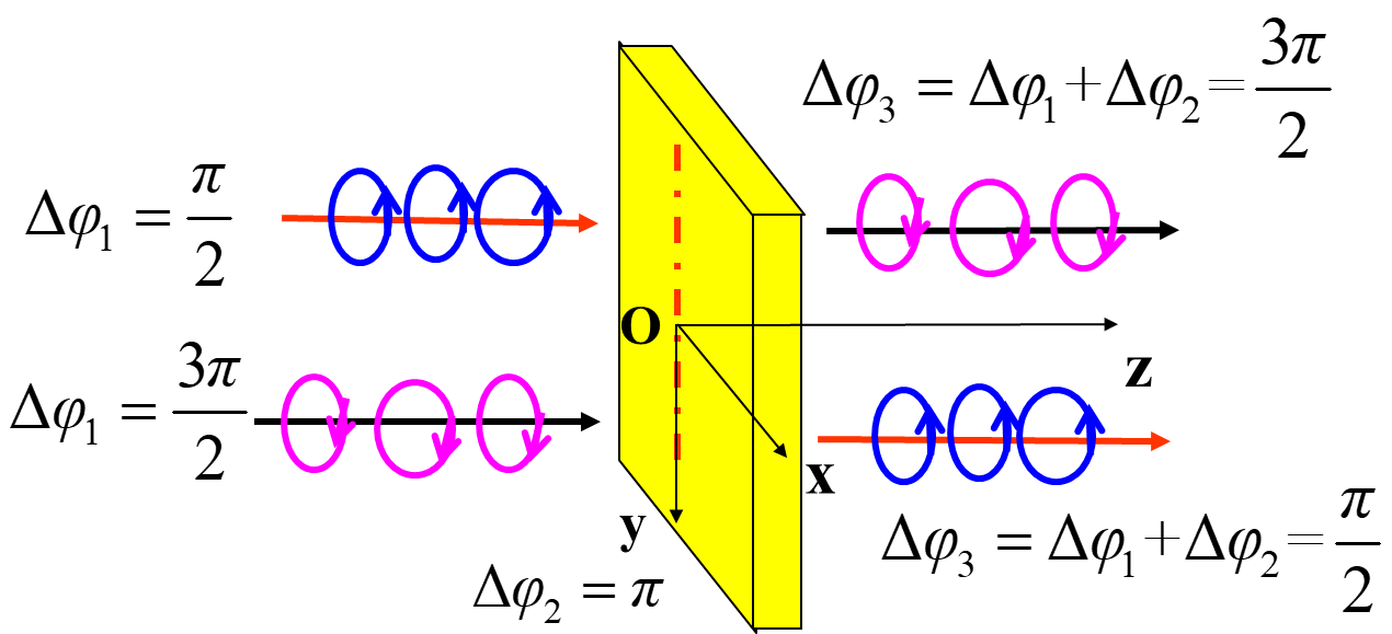 image-20240108014339893