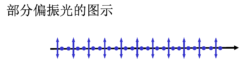 image-20241229162808379