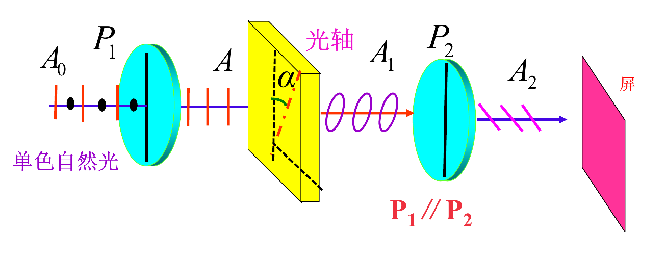 image-20250106225230135