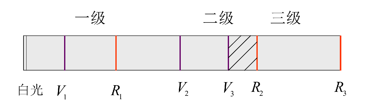 image-20250108223202190