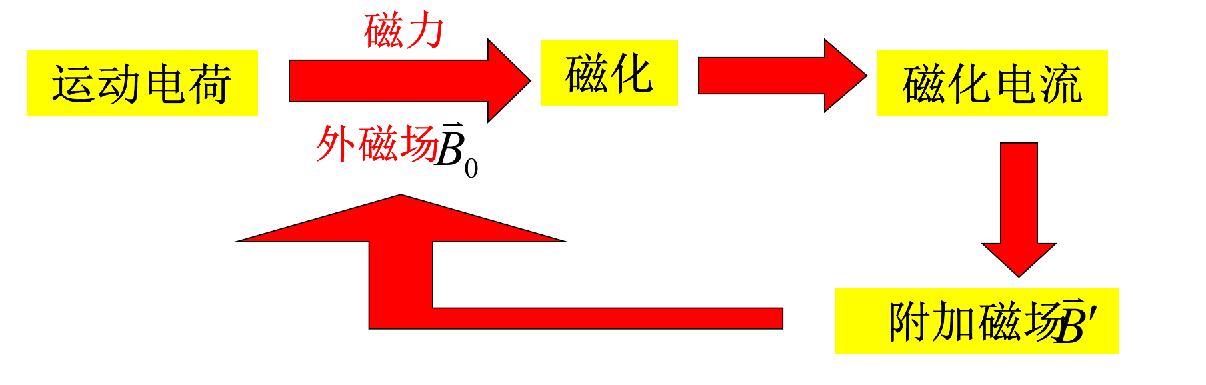 image-20250110210858979