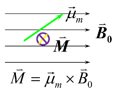 image-20250110214715769