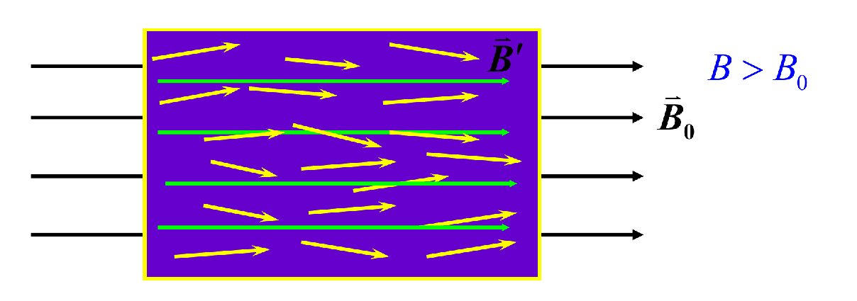 image-20250110214730012