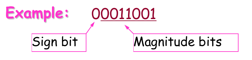 image-20250505184944534